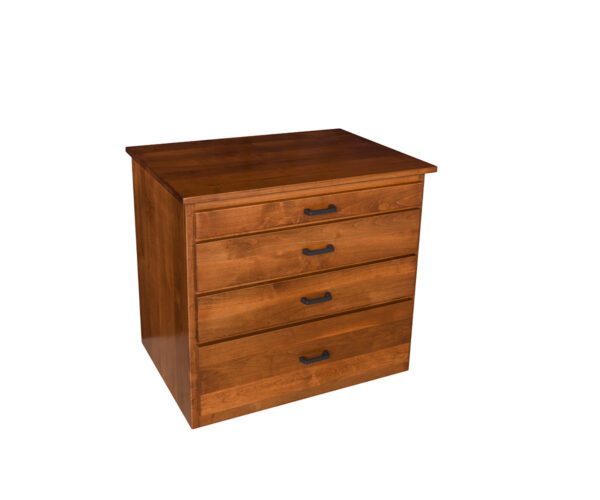 Module Storage Cabinet