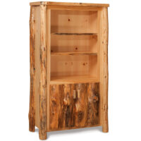 Bookcase with Doors